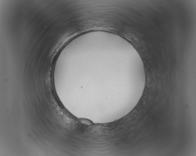 X0000080690098200701121735