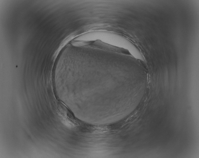 X0000080690099200701121735