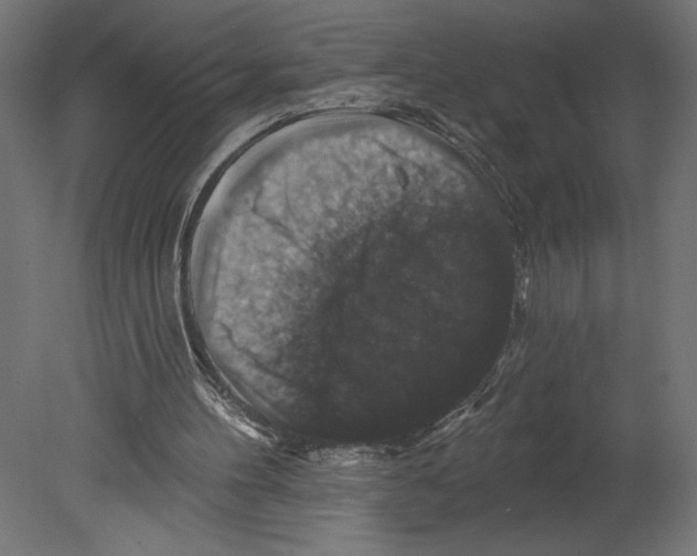 X0000080690100200701121735