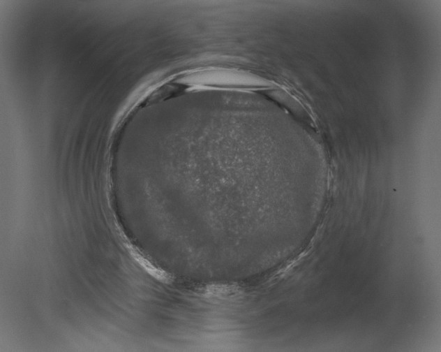 X0000080690101200701121735