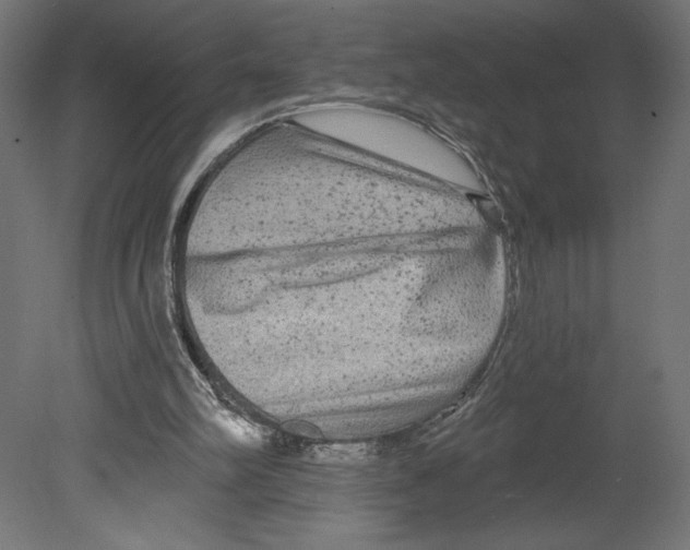 X0000080690102200701121735