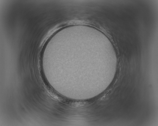 X0000080690103200701121735