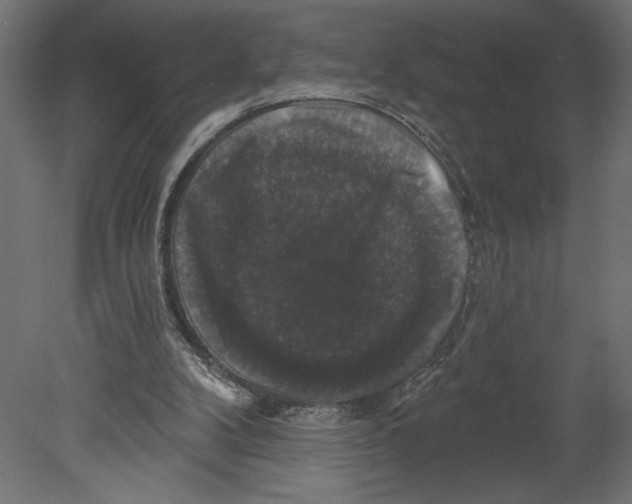 X0000080690104200701121735