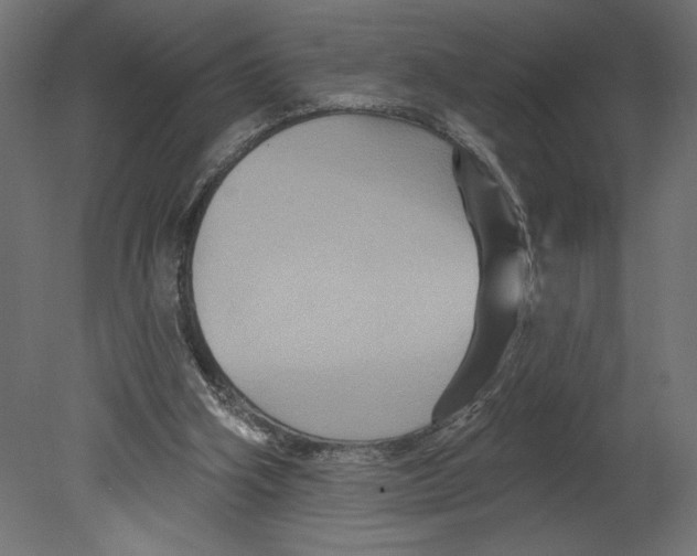 X0000080690106200701121735