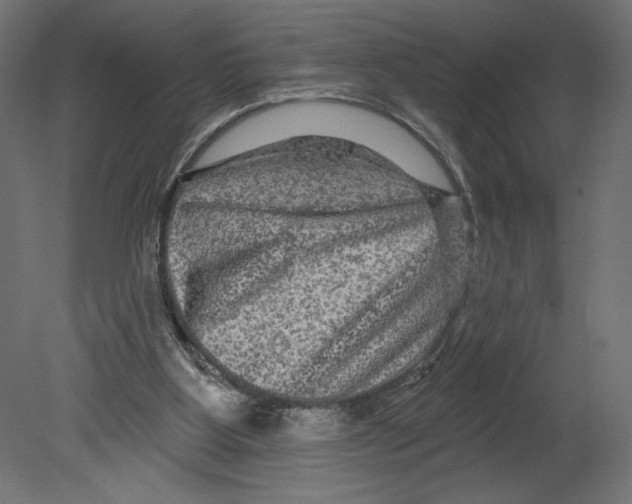 X0000080690107200701121735