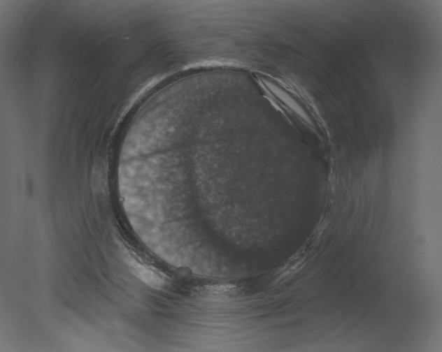 X0000080690108200701121735