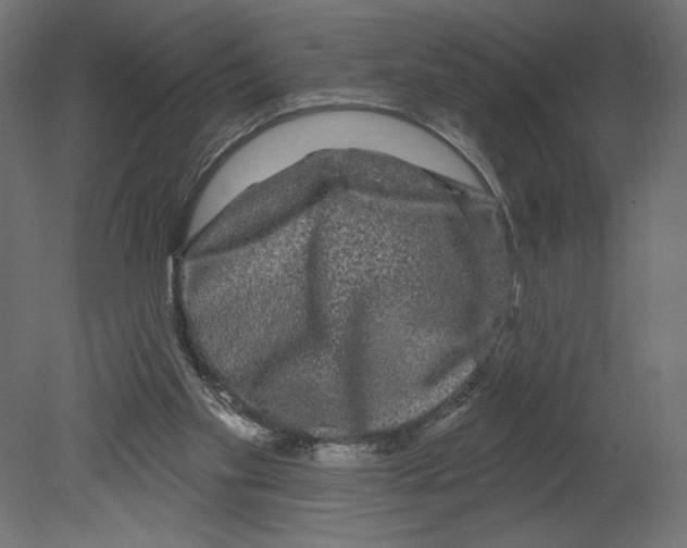 X0000080690109200701121735