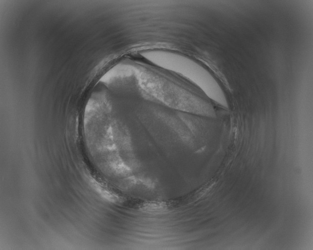 X0000080690110200701121735