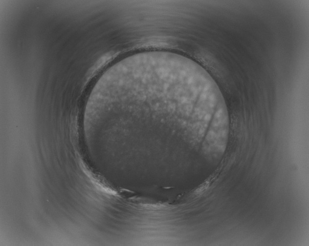 X0000080690112200701121735