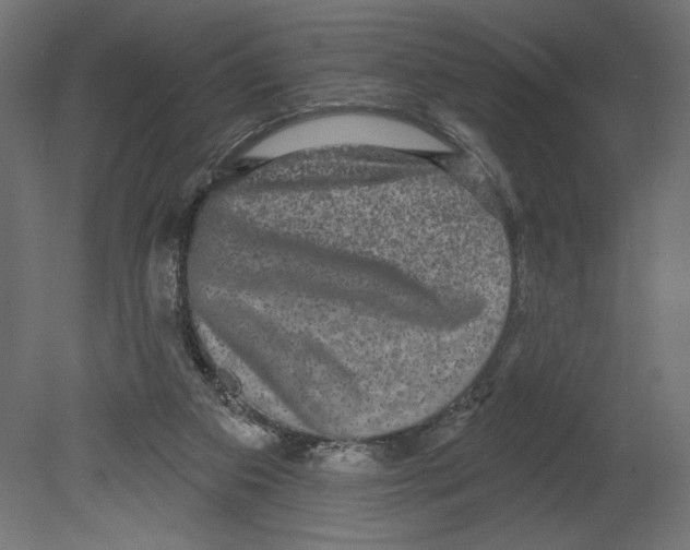 X0000080690113200701121735