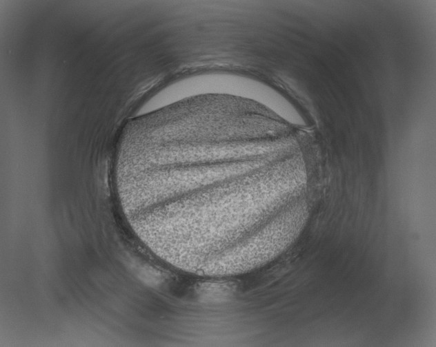 X0000080690115200701121735