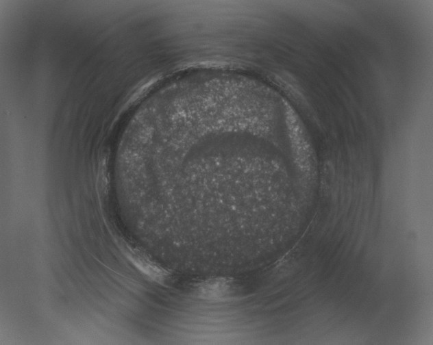 X0000080690116200701121735