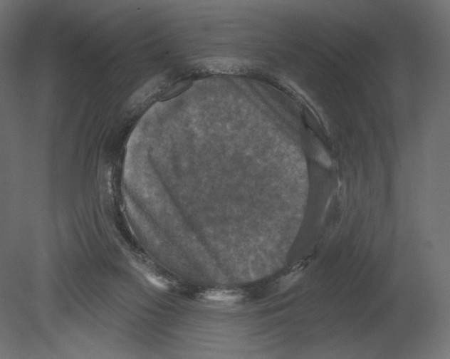 X0000080690117200701121735