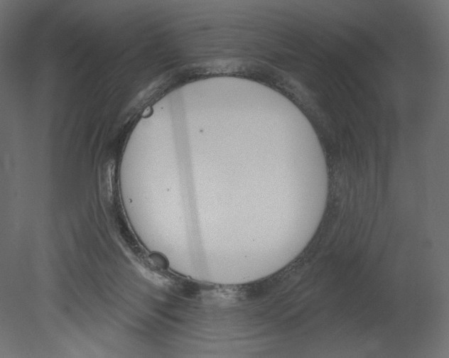 X0000080690118200701121735