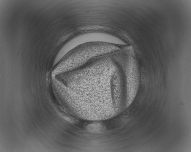 X0000080690119200701121735