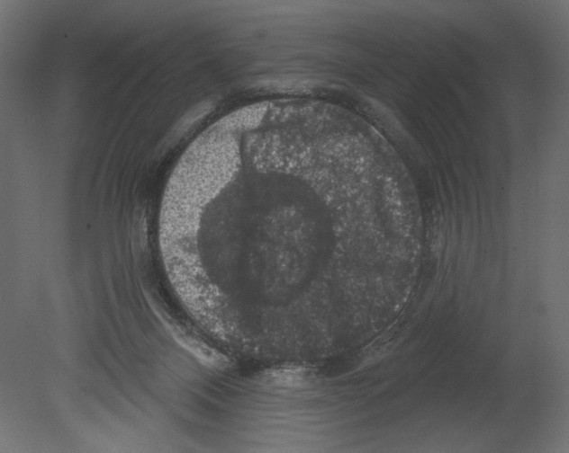 X0000080690120200701121735