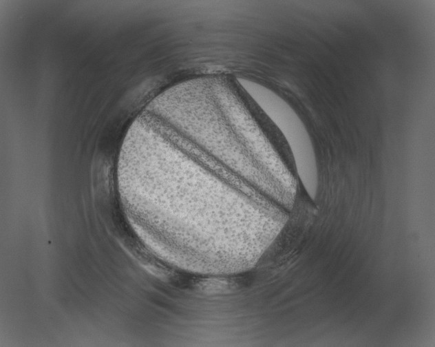 X0000080690123200701121735