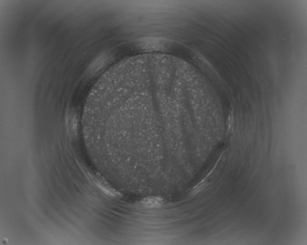 X0000080690124200701121735