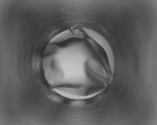 X0000080690125200701121735