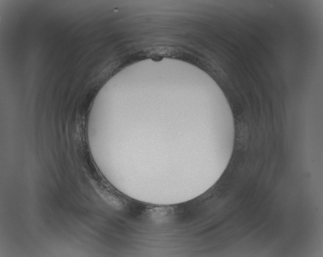 X0000080690126200701121735