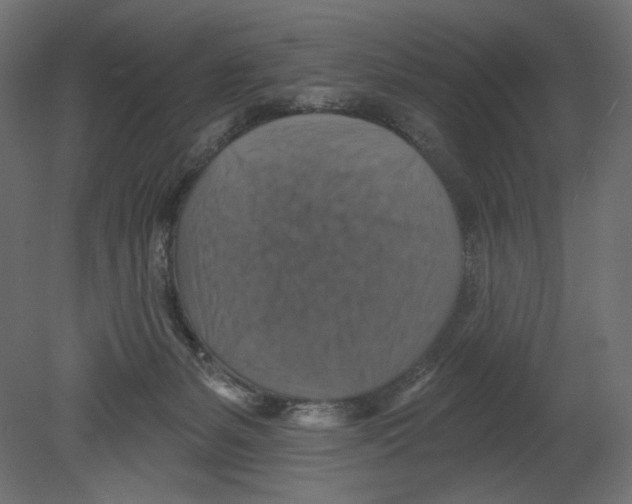 X0000080690127200701121735