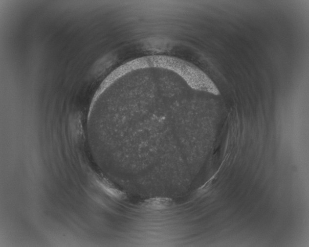 X0000080690128200701121735