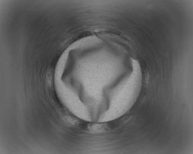 X0000080690129200701121735