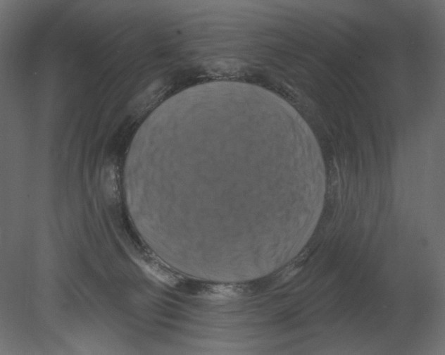 X0000080690130200701121735