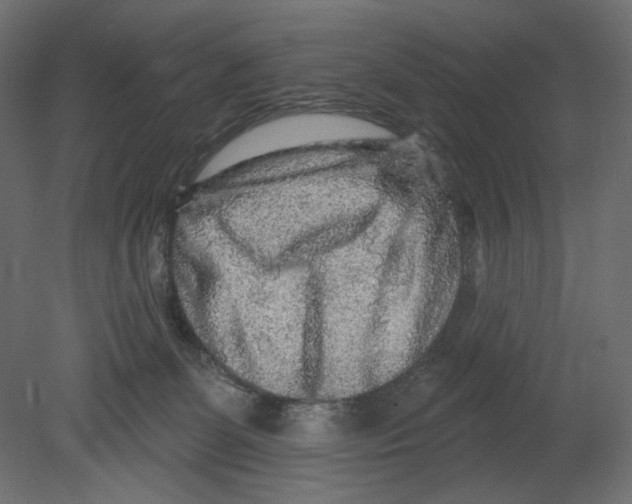 X0000080690131200701121735