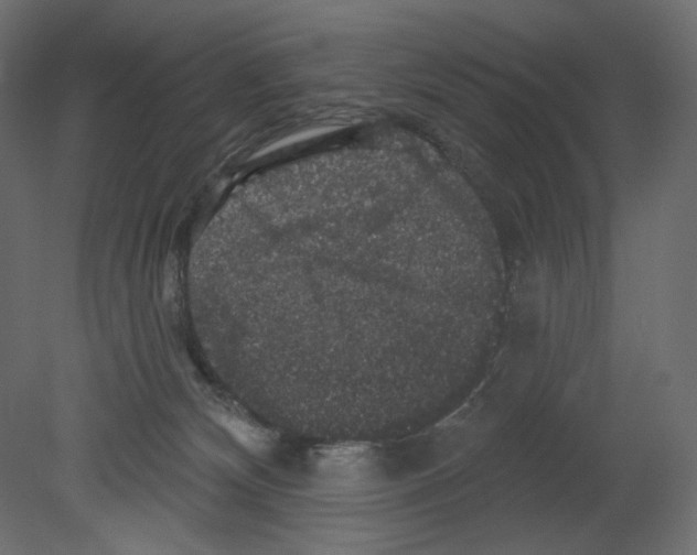 X0000080690132200701121735