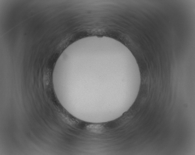 X0000080690133200701121735