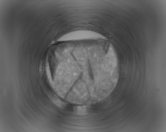 X0000080690134200701121735