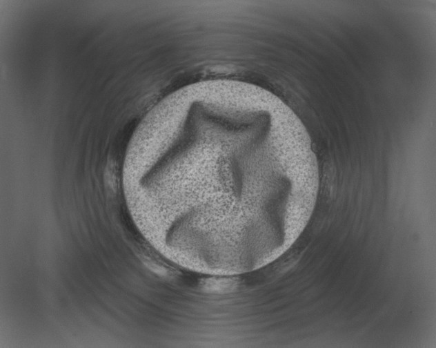 X0000080690135200701121735