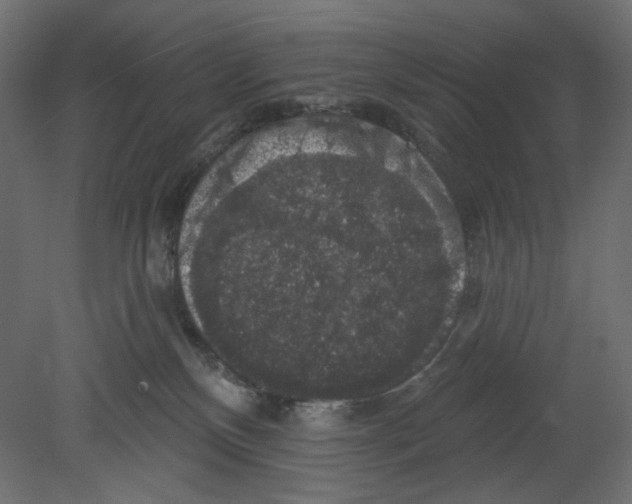 X0000080690136200701121735