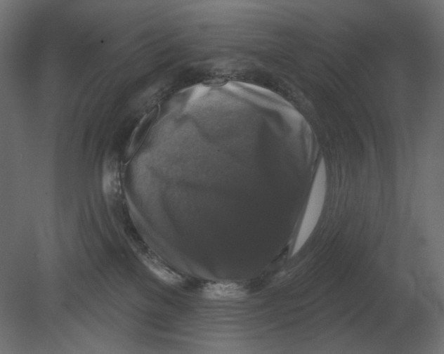 X0000080690137200701121735