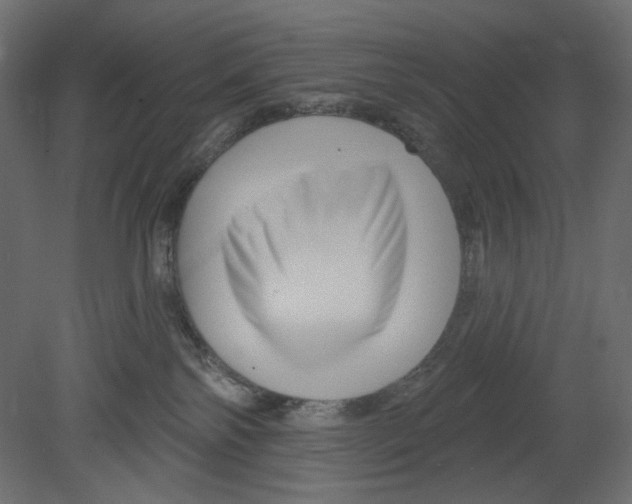 X0000080690138200701121735