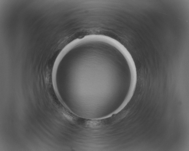 X0000080690139200701121735