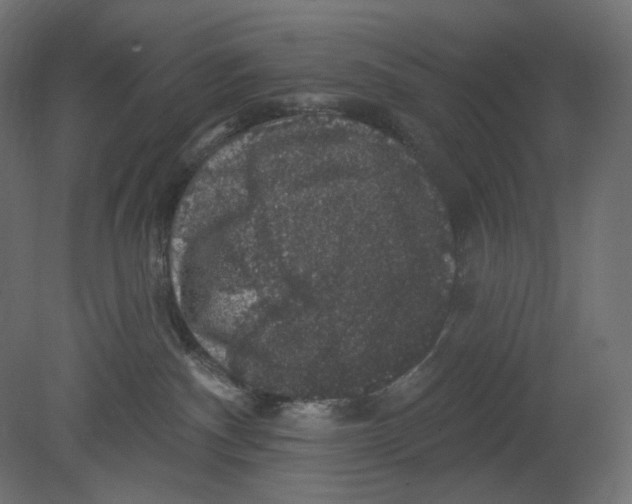 X0000080690140200701121735