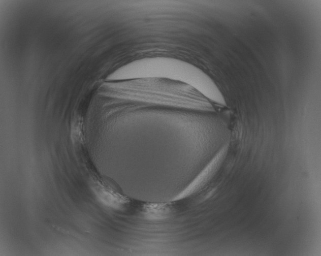 X0000080690141200701121735