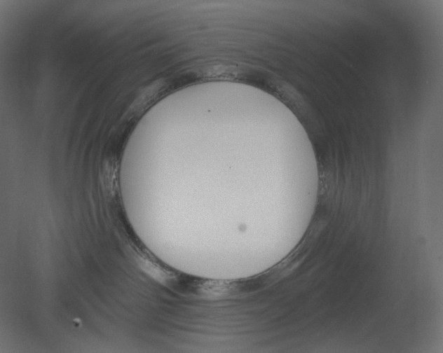 X0000080690142200701121735