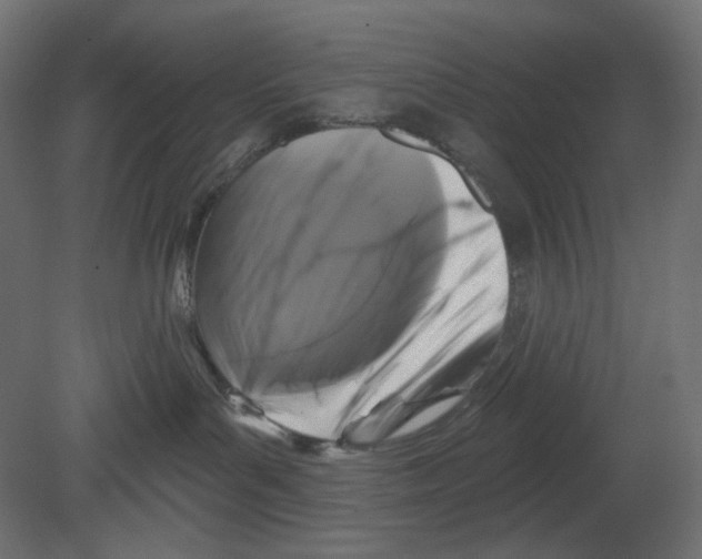 X0000080690143200701121735