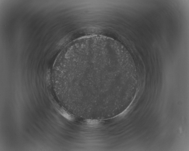 X0000080690144200701121735