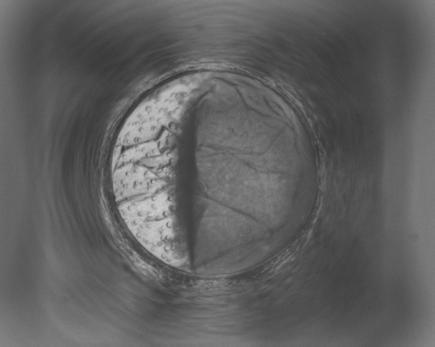 X0000080690145200701121734