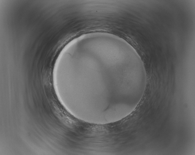 X0000080690146200701121734