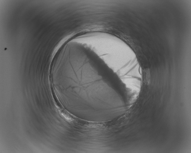 X0000080690147200701121734