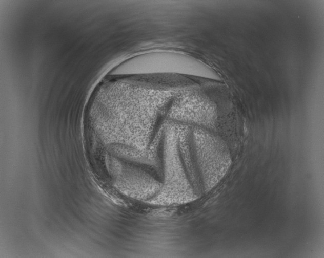 X0000080690148200701121734