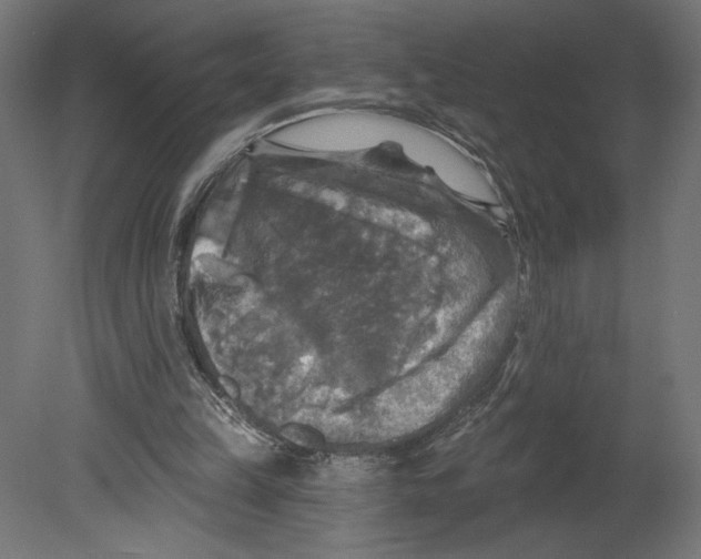 X0000080690149200701121734