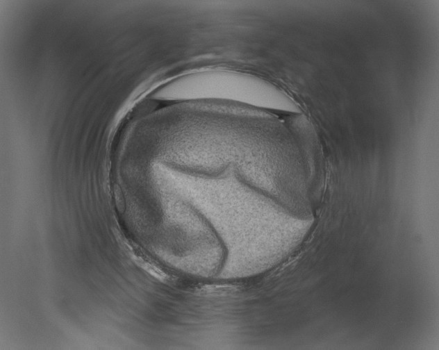 X0000080690150200701121734