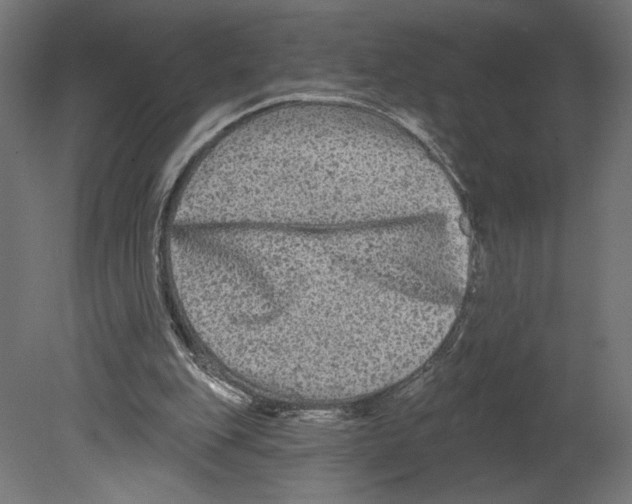 X0000080690151200701121734