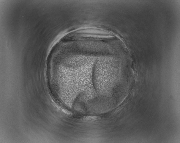 X0000080690152200701121734